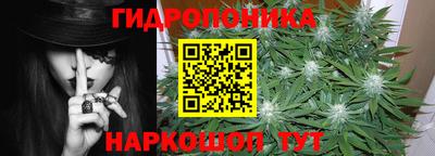 МДПВ Будённовск